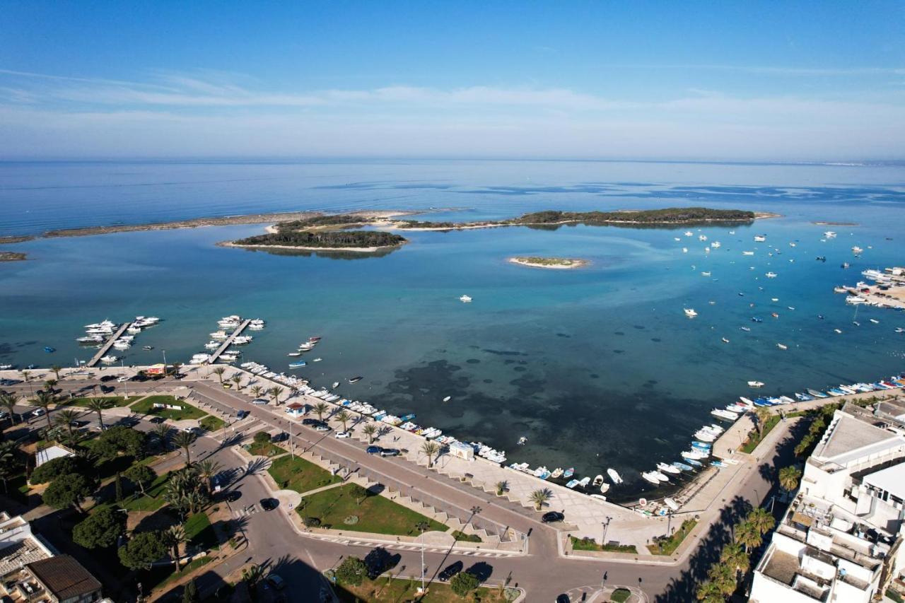 Il Gabbiano